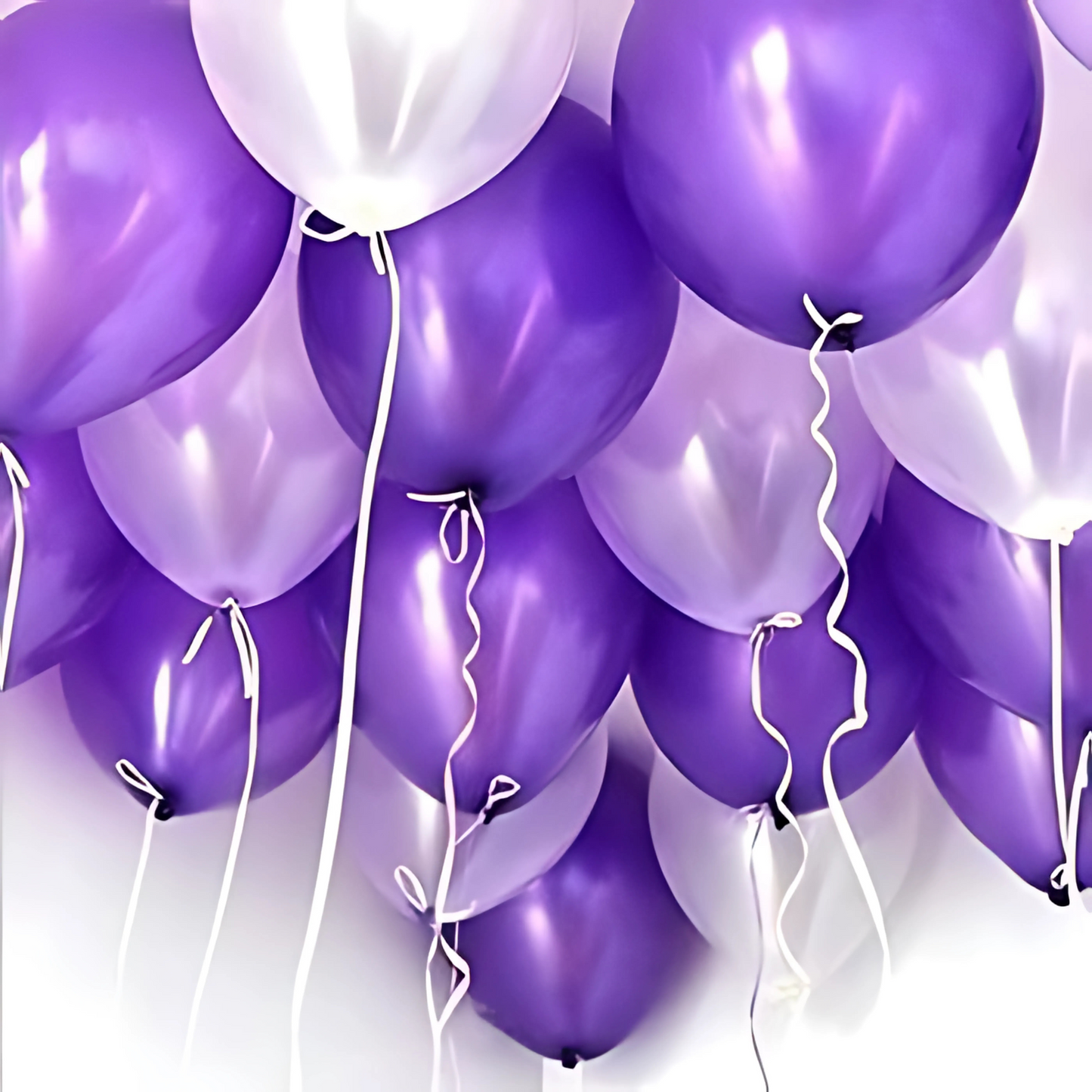 Purple Latex / Rubber Balloons - 9 inches - 50PC