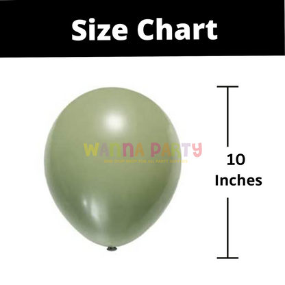 Avocado Green / Sage Green Latex Balloons 10" - 20PC