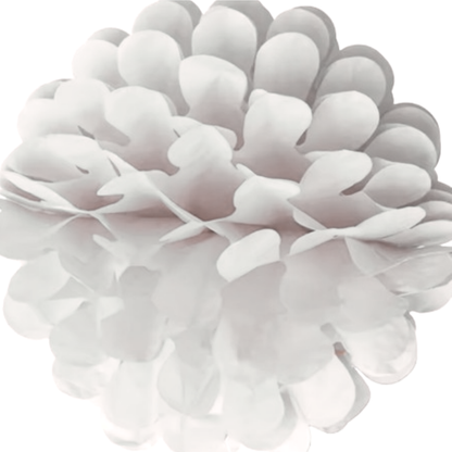 Paper Pom Pom Hangings for Decoration-10 inch 5 pieces Ceiling Decoration Items, Pom Poms, Fluffy Decoration- White-NO DIY