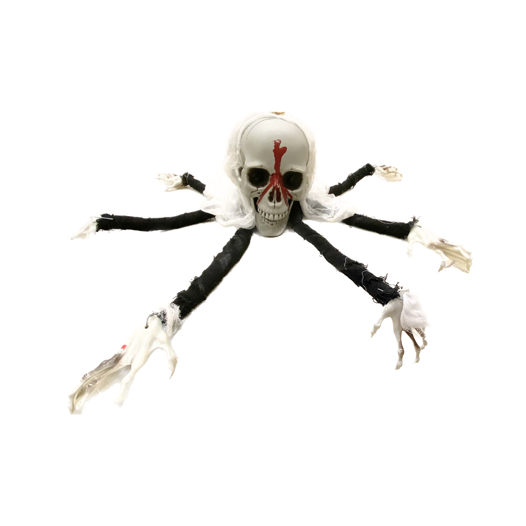 Skull Spider Hanging