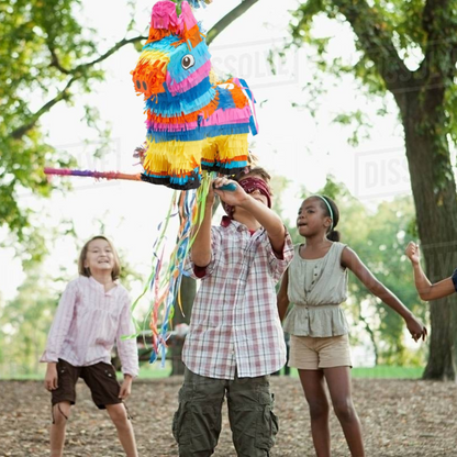 Mexican Donkey Pinata