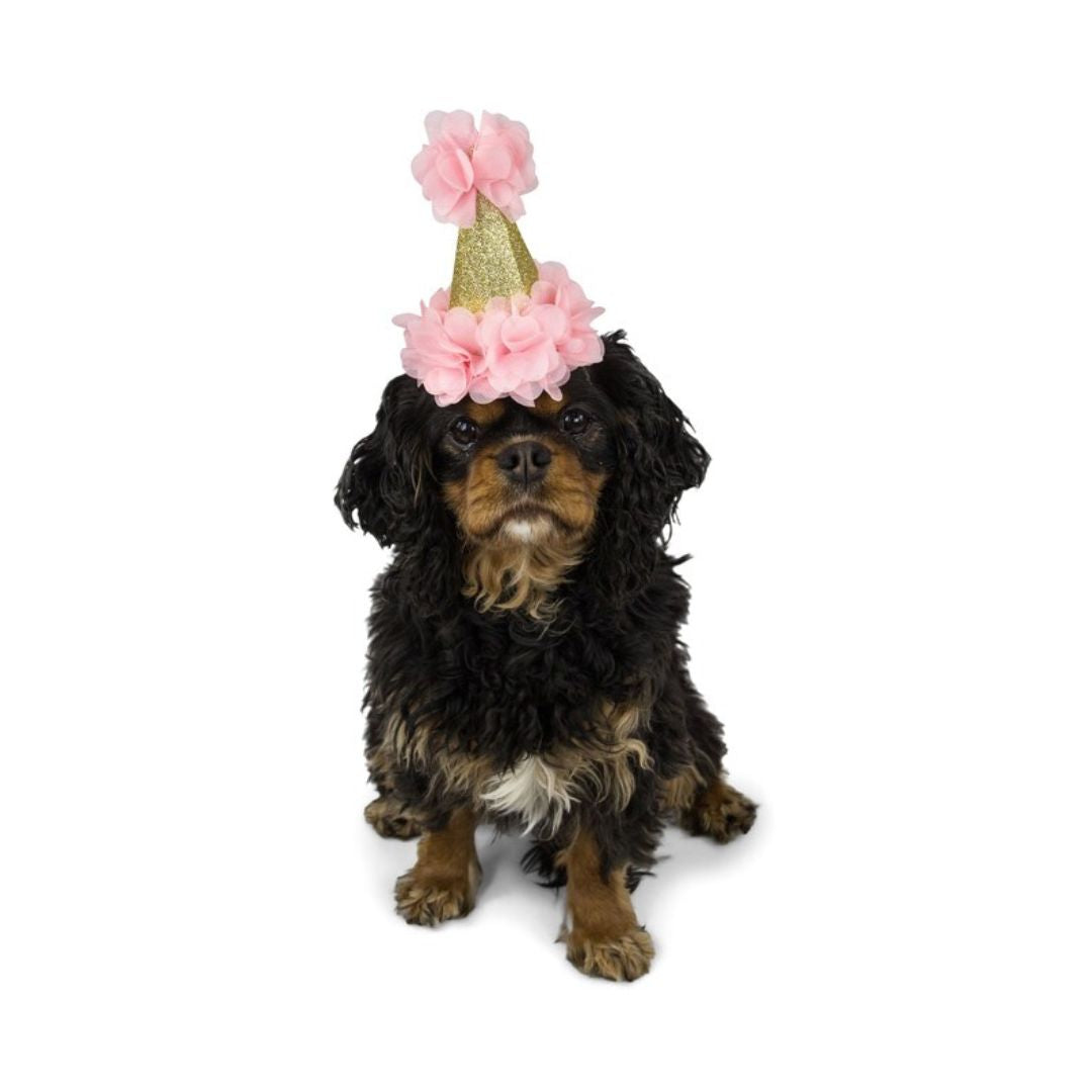 Golden Conical Hat with Pink Flower