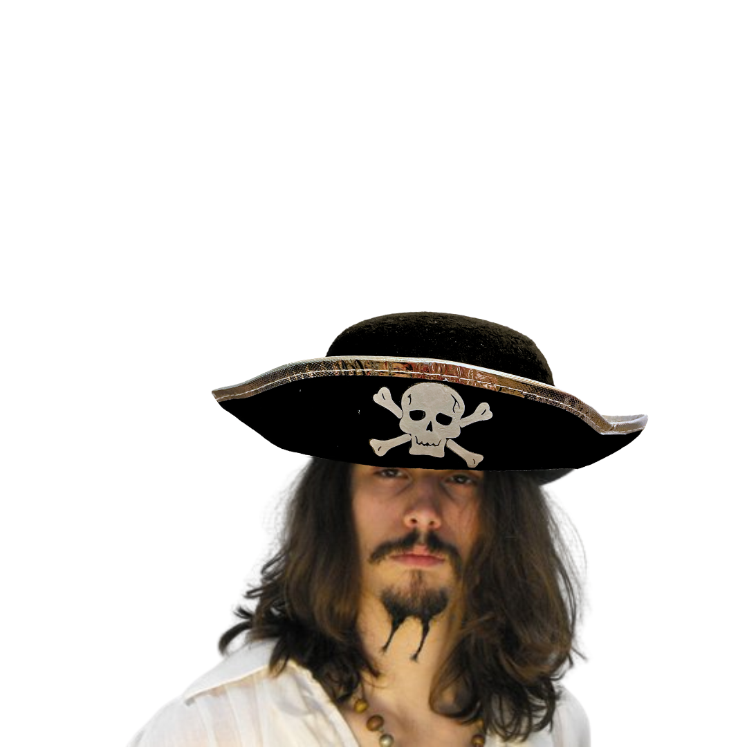 Pirate Hat