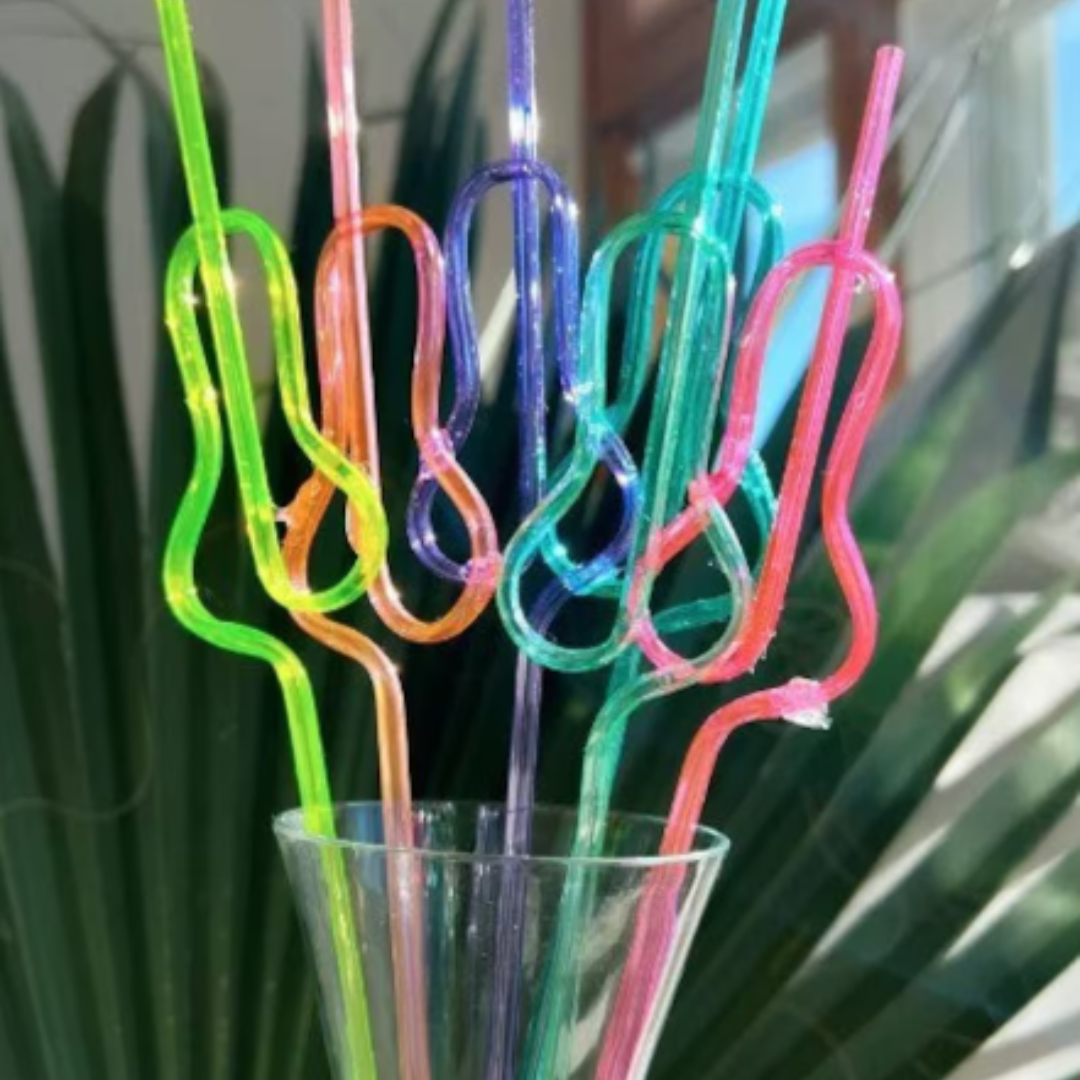 Willy Colorful Straws - 6PC