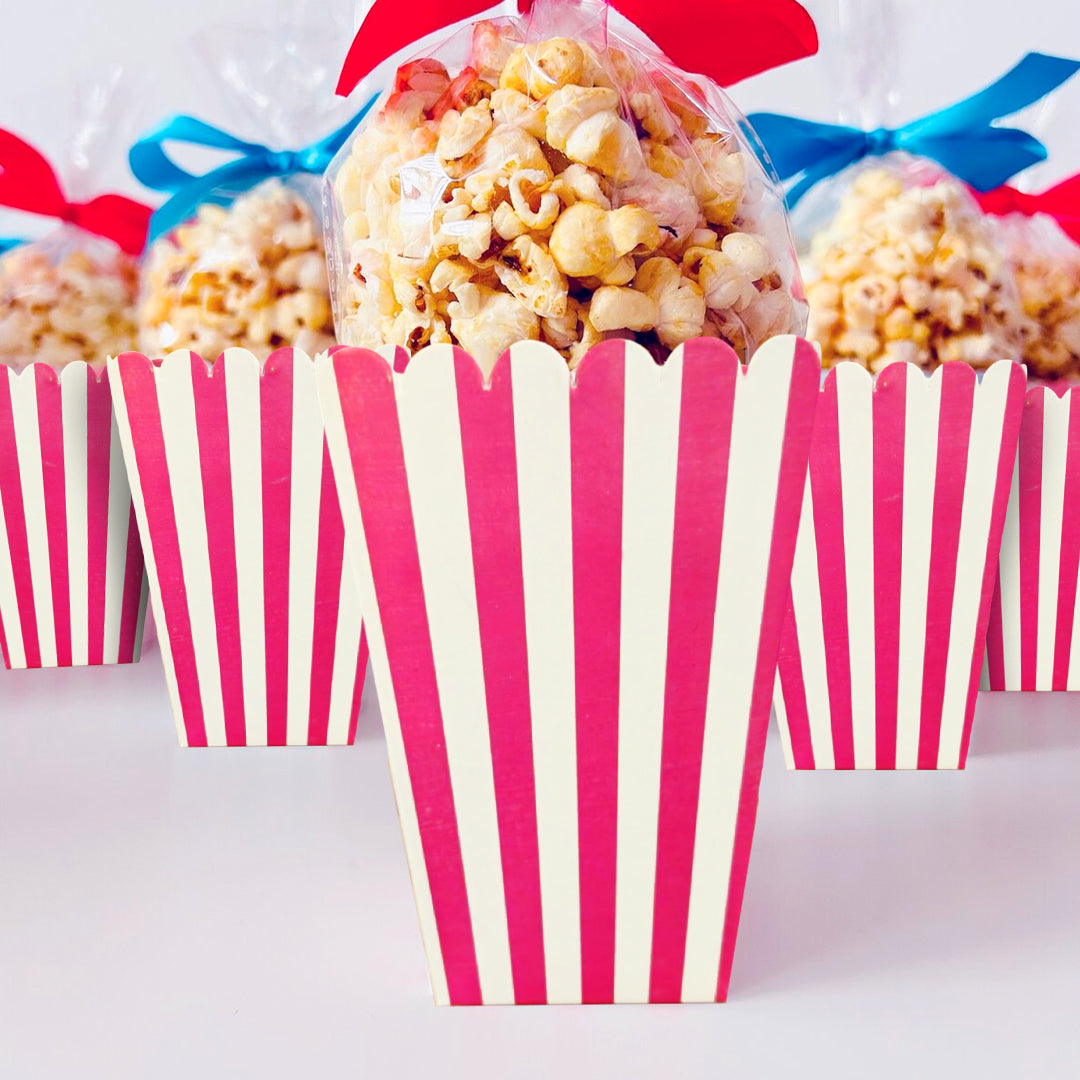 Striped Popcorn Holders Pink - 10PC