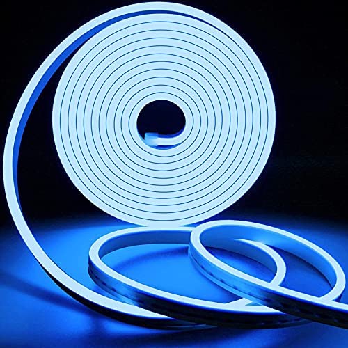 Blue Neon LED Strip Light With Adapter