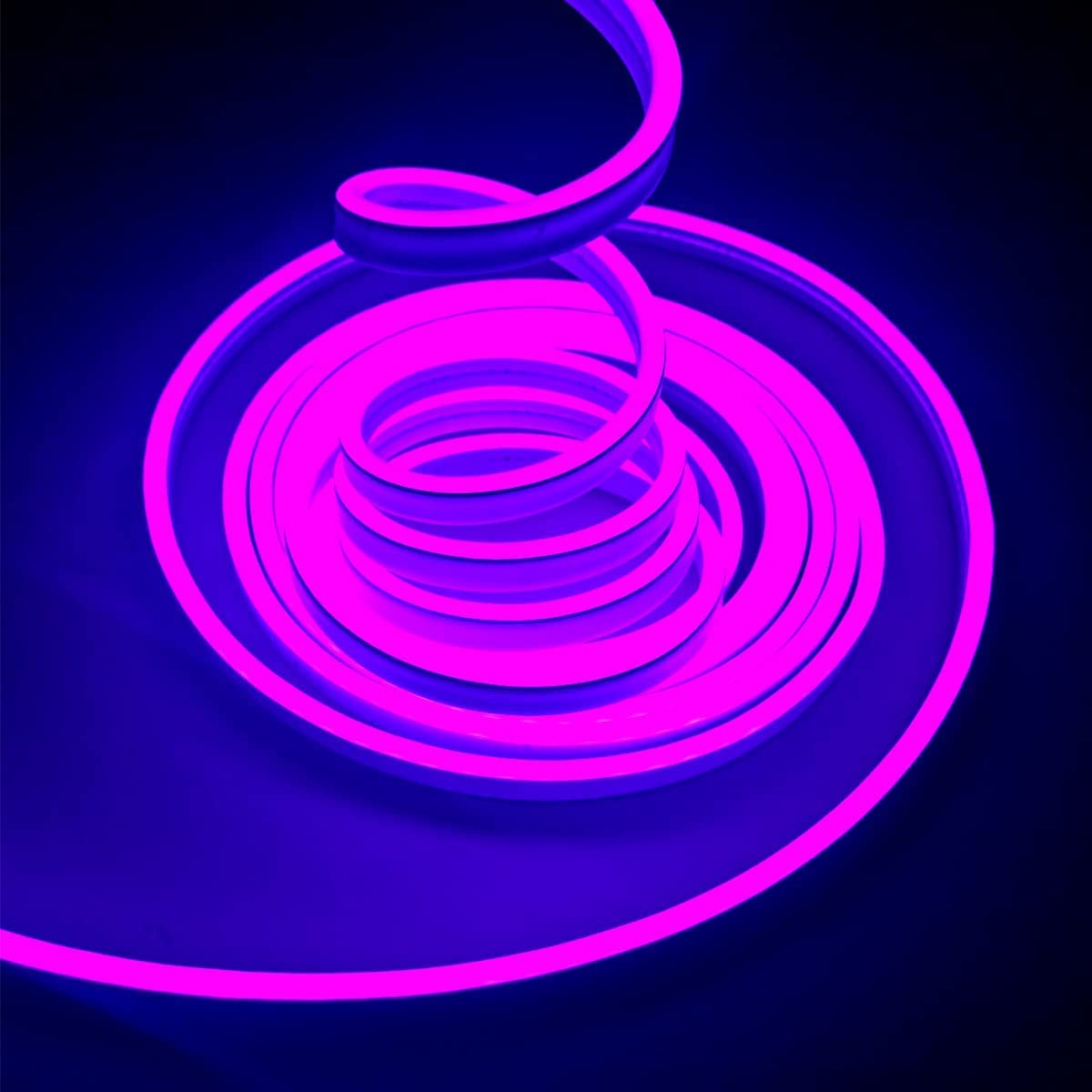 Purple Neon LED Strip Light Adapter