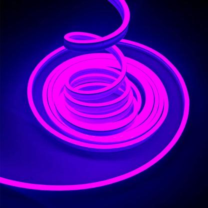 Purple Neon LED Strip Light Adapter