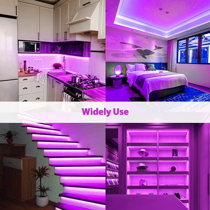 Purple Neon LED Strip Light Adapter