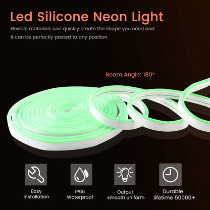 Green Neon LED Strip Light Adapter