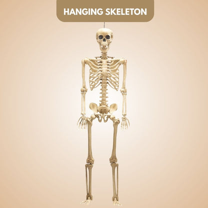 Large Size Hanging Skeleton - 6FT - 1PC