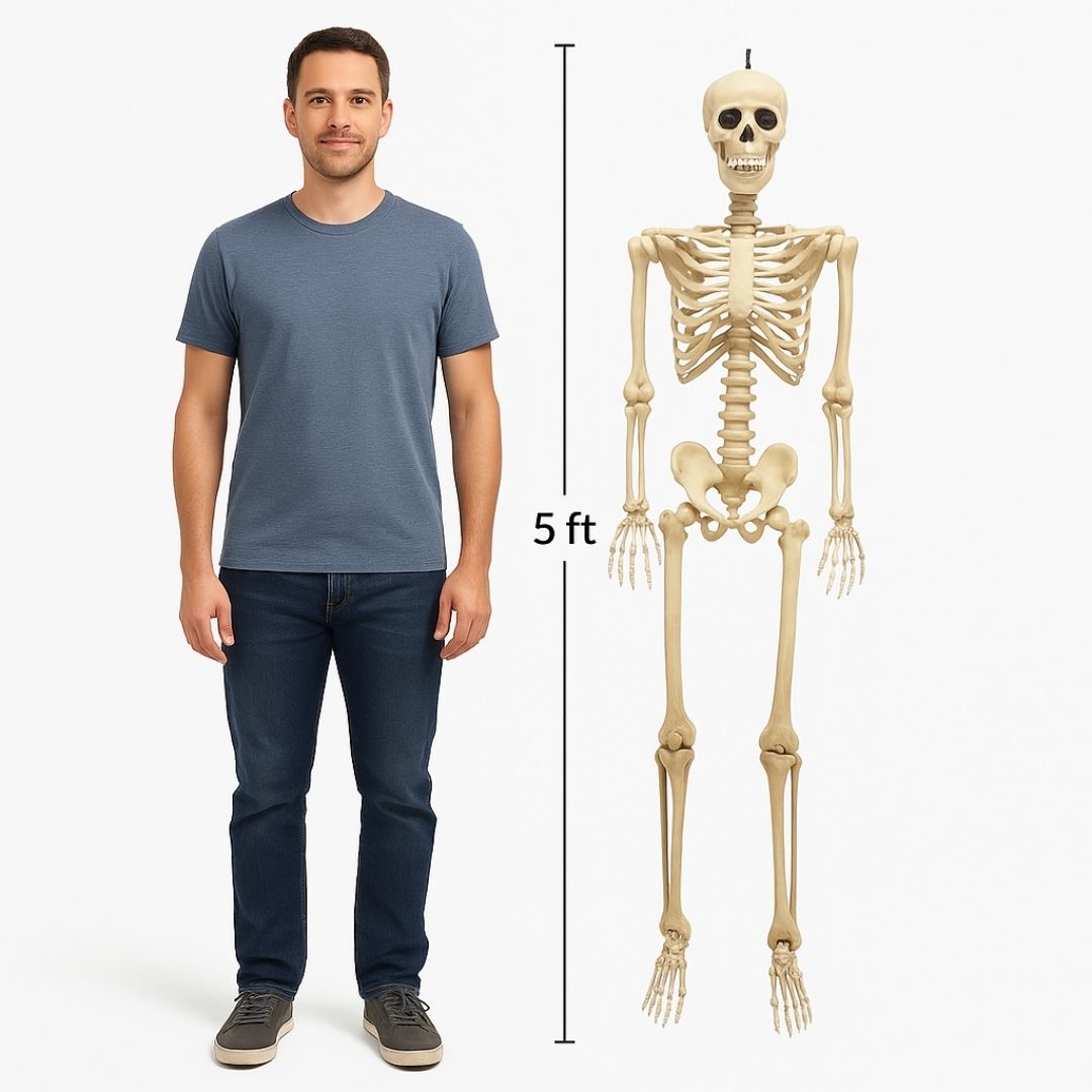 Large Size Hanging Skeleton - 6FT - 1PC
