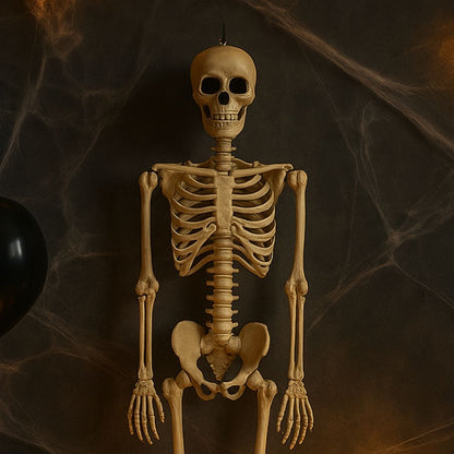 Large Size Hanging Skeleton - 6FT - 1PC