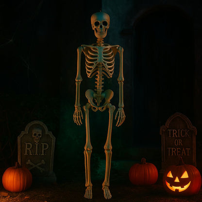 Large Size Hanging Skeleton - 6FT - 1PC