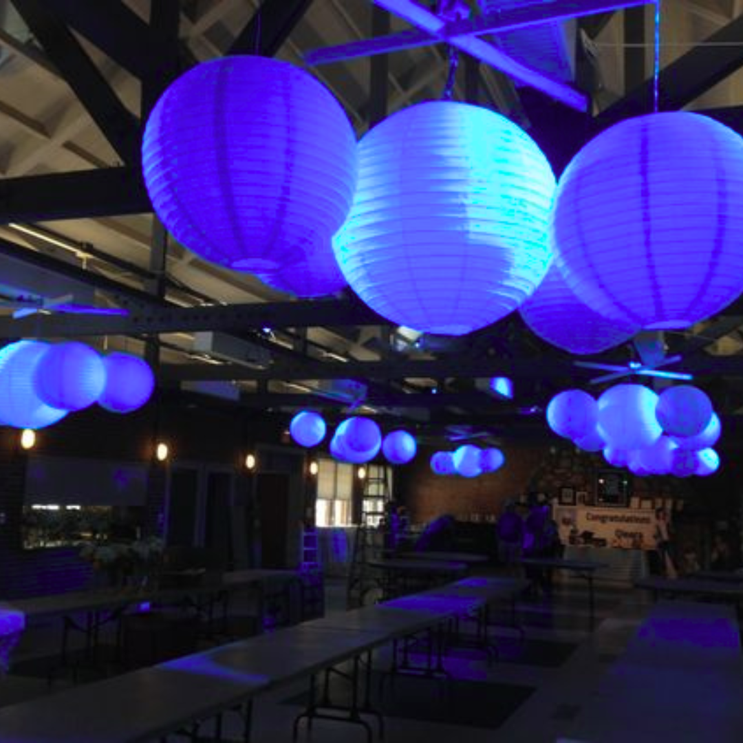 Royal Blue Paper Lanterns Small - 10 inches - 1PC