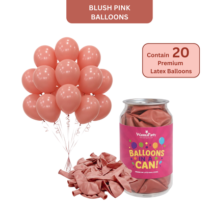 Blush pink balloons
