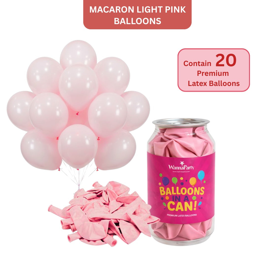 Macaron Pastel Pink Premium Latex Balloons 10" - 20PC