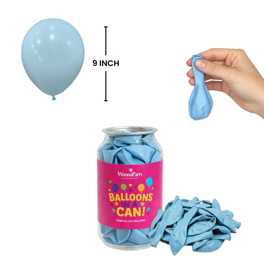 Macaron Pastel Blue Premium Latex Balloons 10" - 20PC