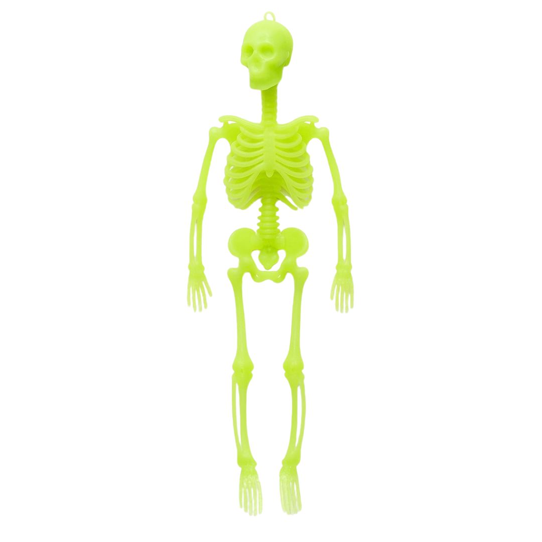 Glow in the Dark Hanging Skeleton -  12 inches - 1PC