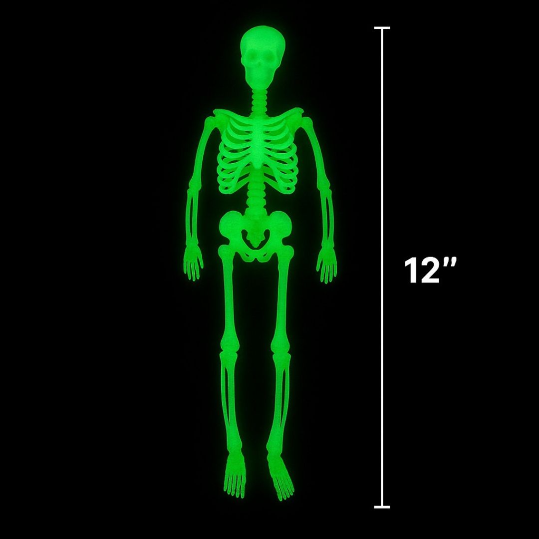 Glow in the Dark Hanging Skeleton -  12 inches - 1PC