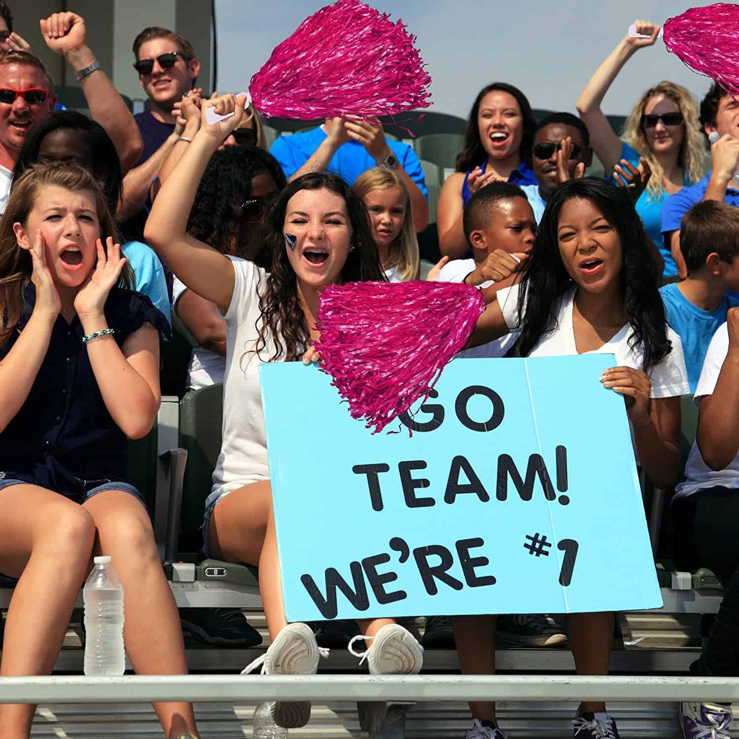 Cheerleader Pom Poms Pink