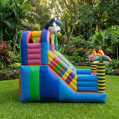 Mickey slide for Rent