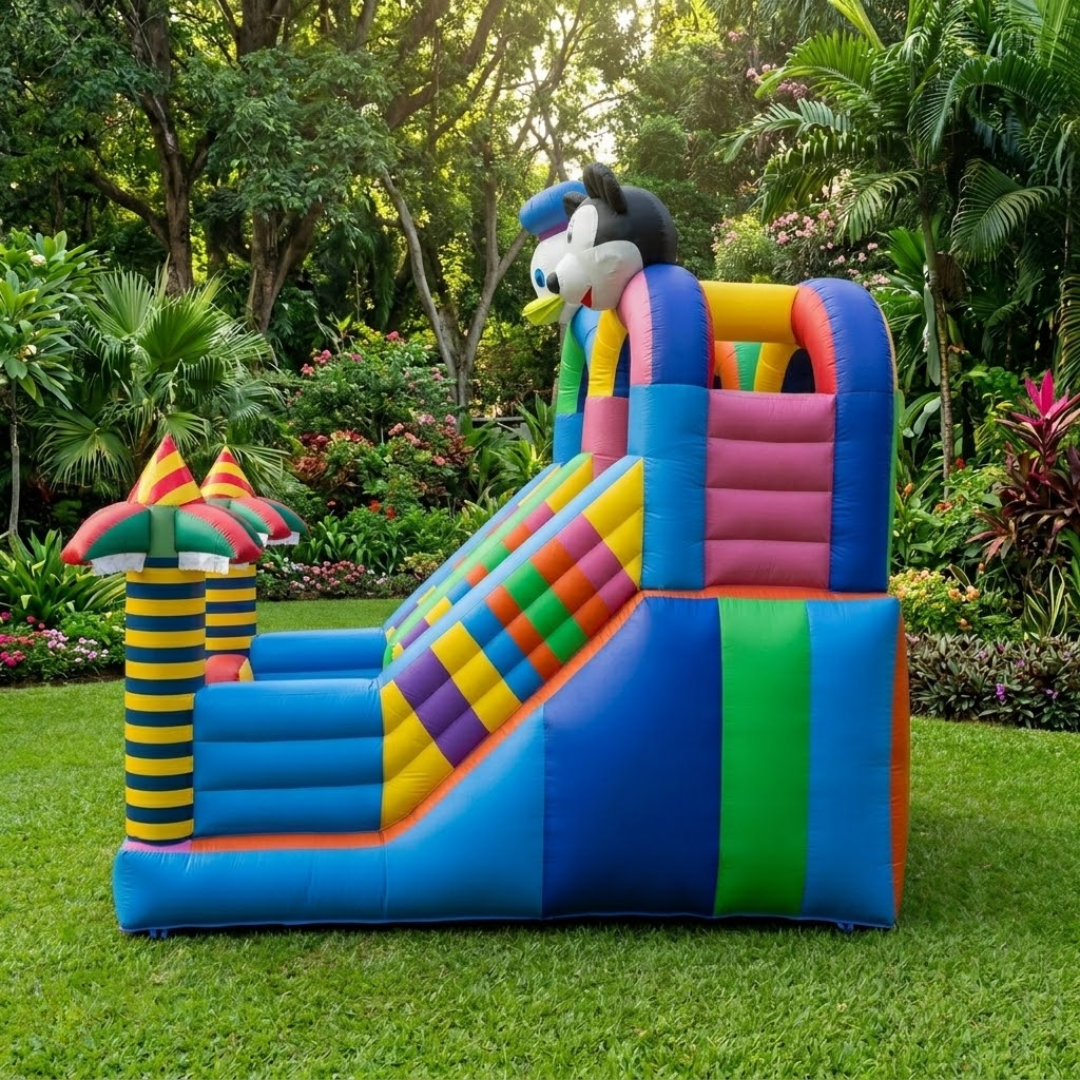 Mickey slide for Rent