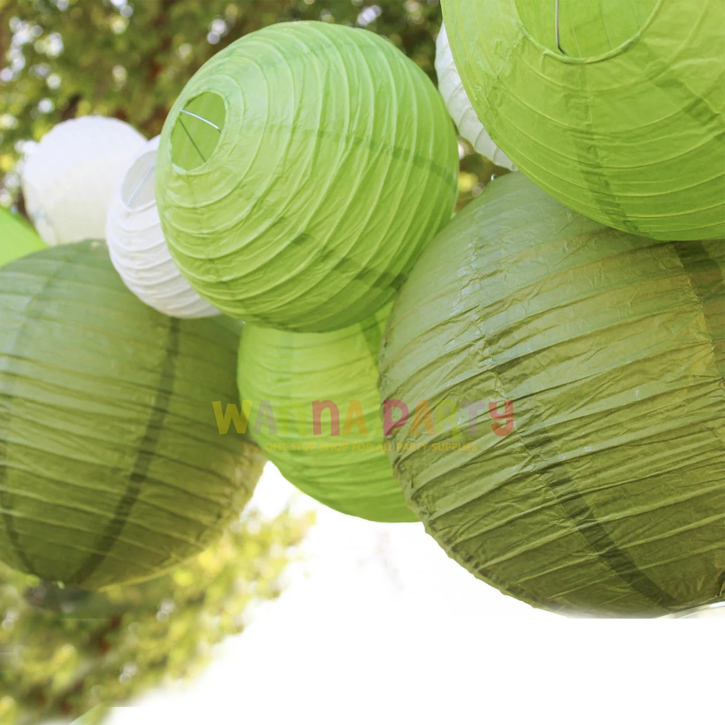 Paper Lanterns Light Green 12 Inch-1PC