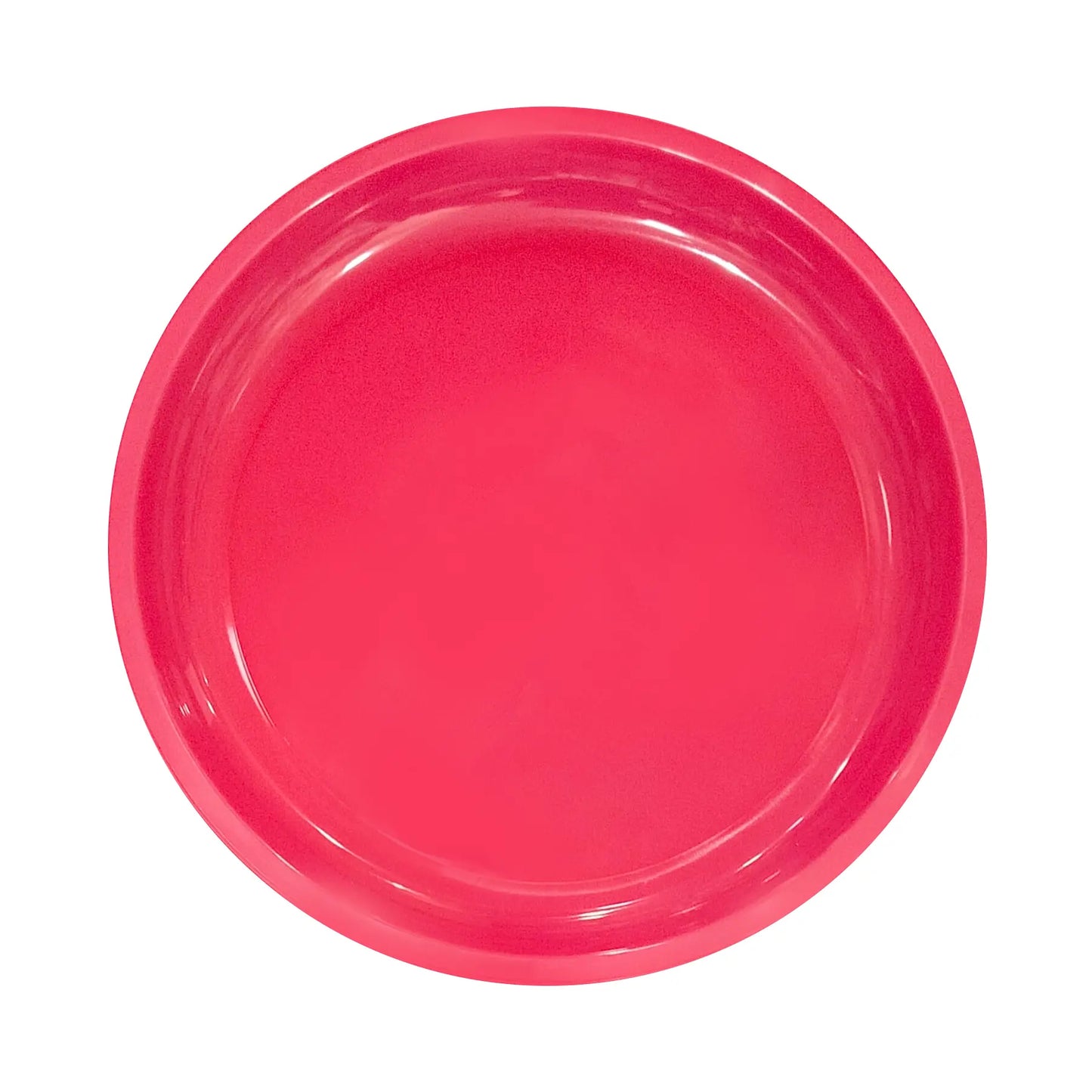 10" Solid Color Hot Pink Round Plates - 6PC