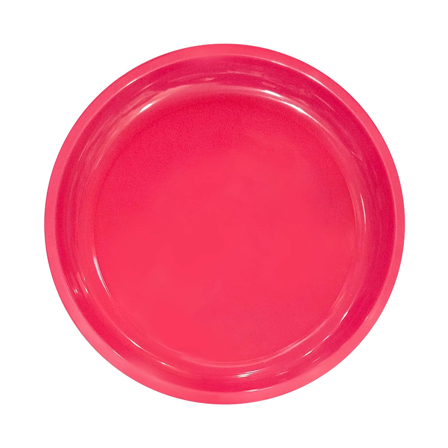 10" Solid Color Hot Pink Round Plates - 6PC