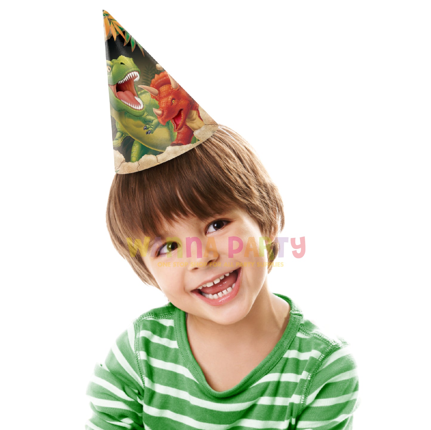 Dinosaur Blast Birthday Hats - 8PC