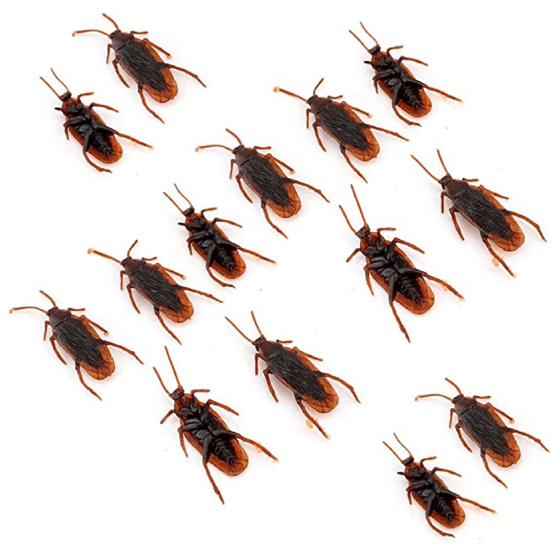 Fake Cockroaches 2.5" - 12PC