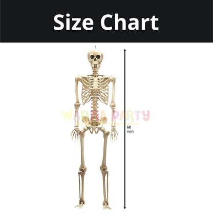 Large Size Hanging Skeleton