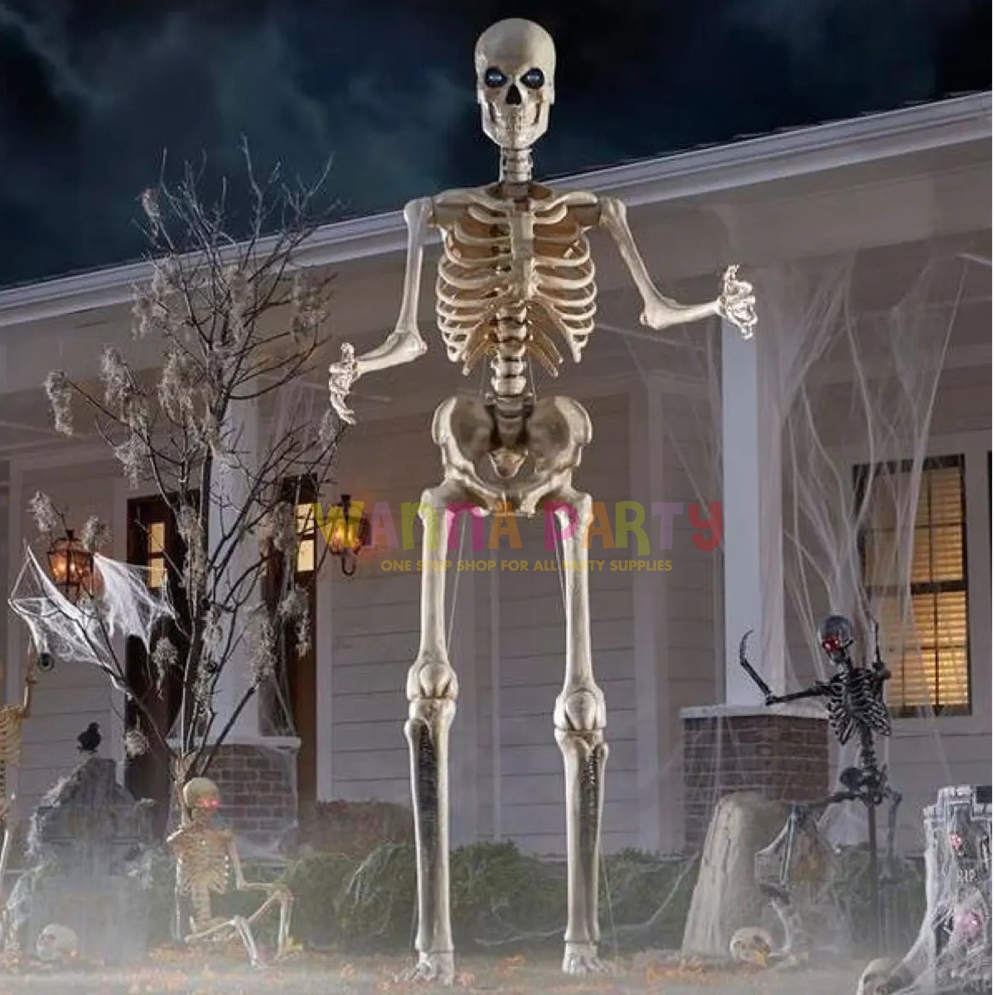 Large Size Hanging Skeleton