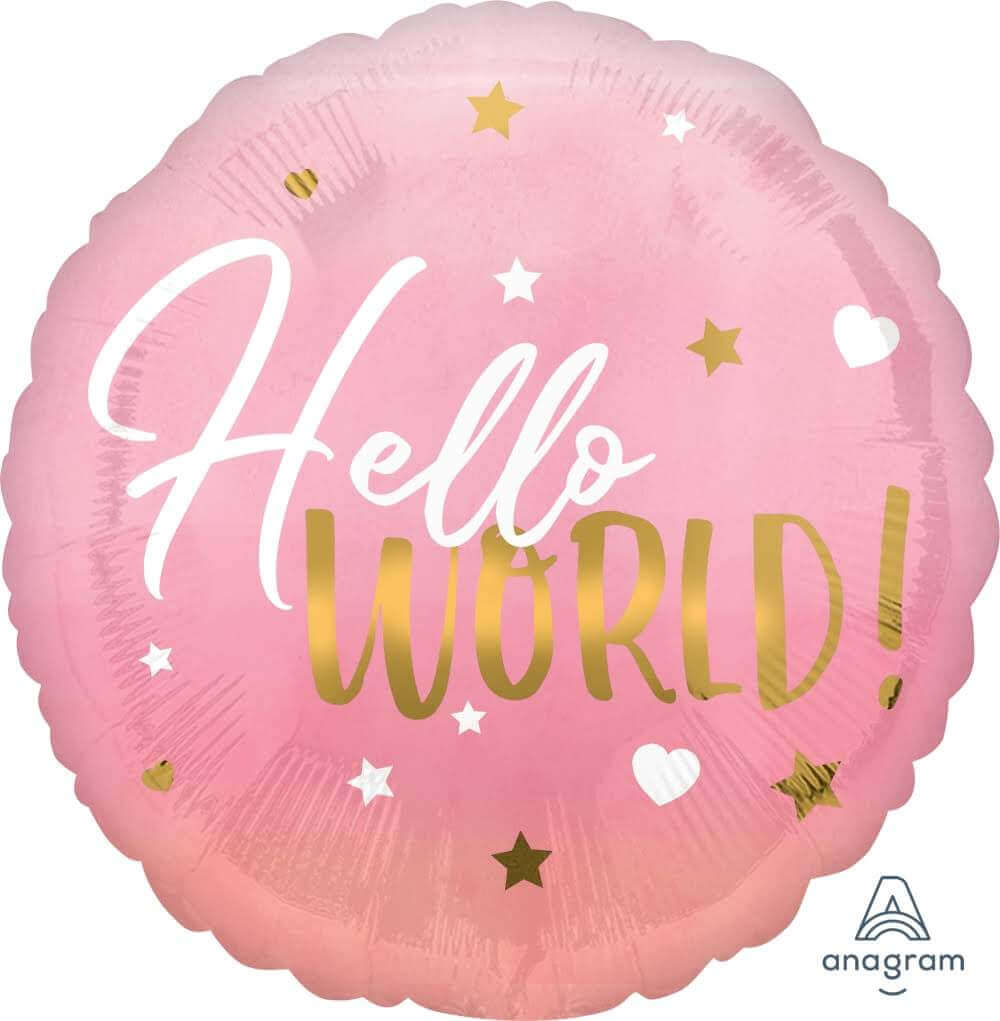 Hello World New Born Girl Balloon 18" S40