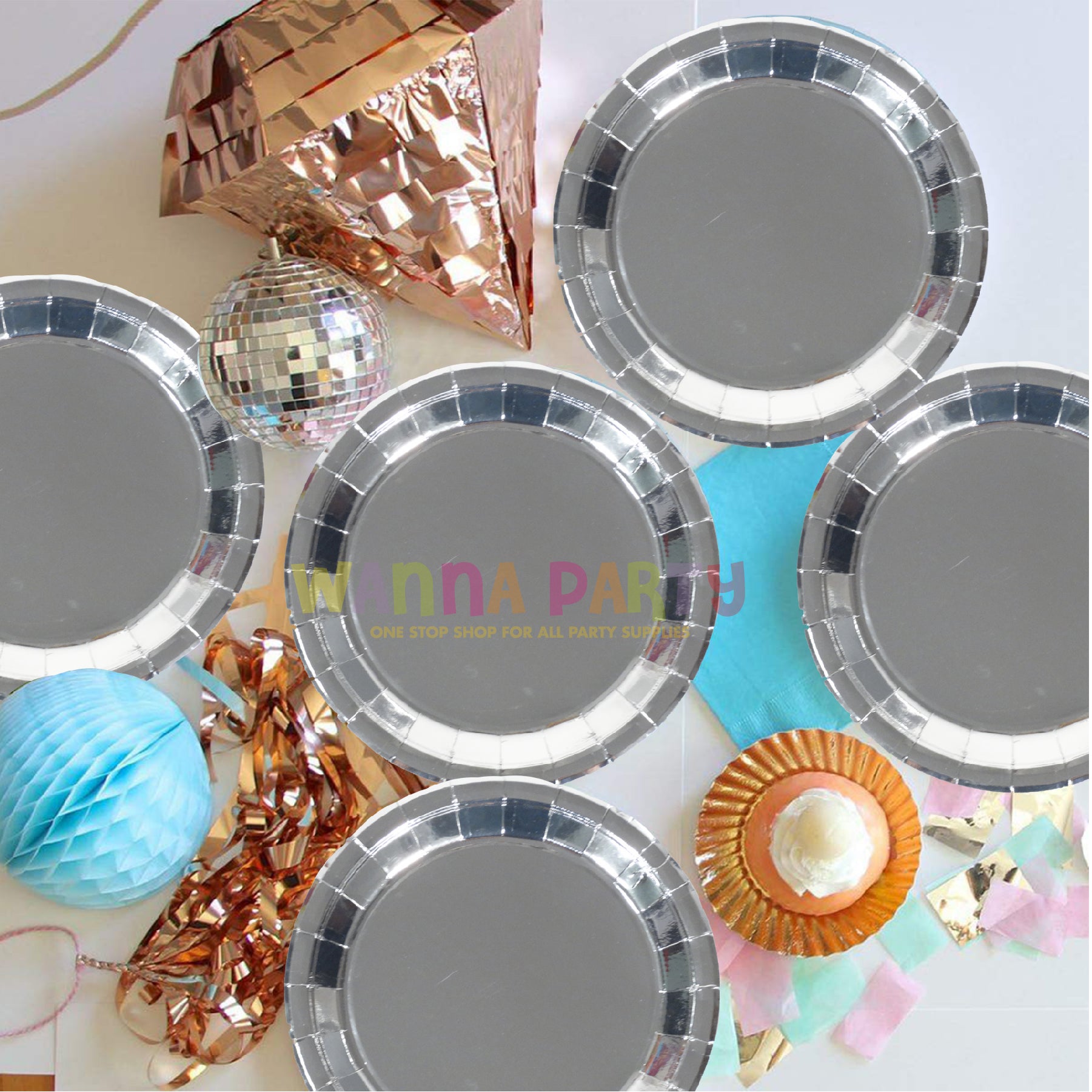 Silver Plates - 10PC