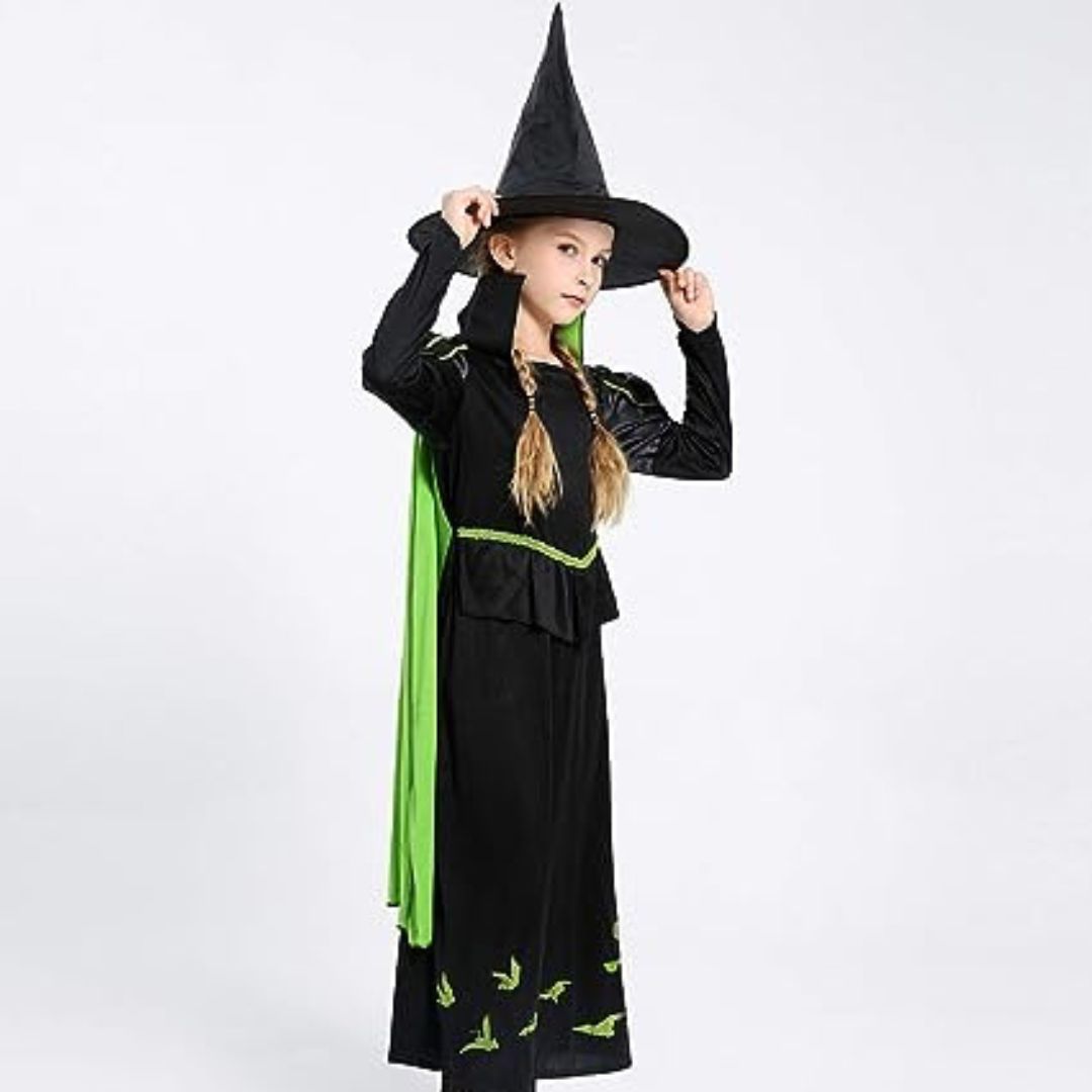 Wicked Witch of the West Costume Size L