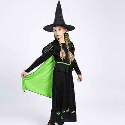 Wicked Witch of the West Costume Size L