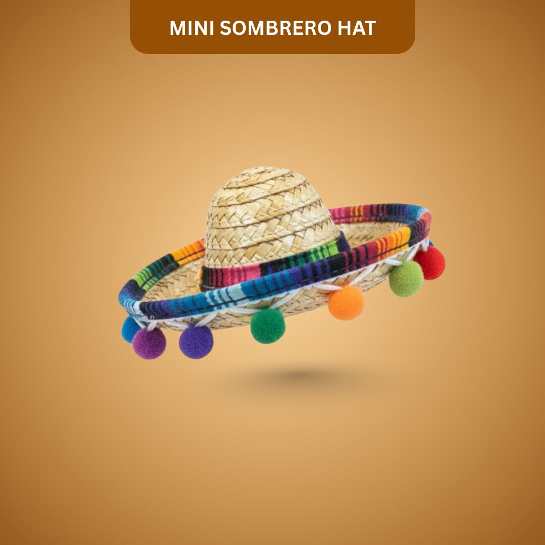 Mini Sombrero Hat