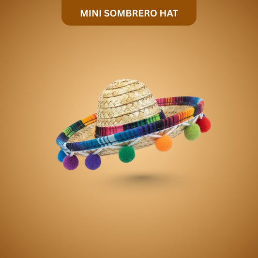 Mini Sombrero Hat