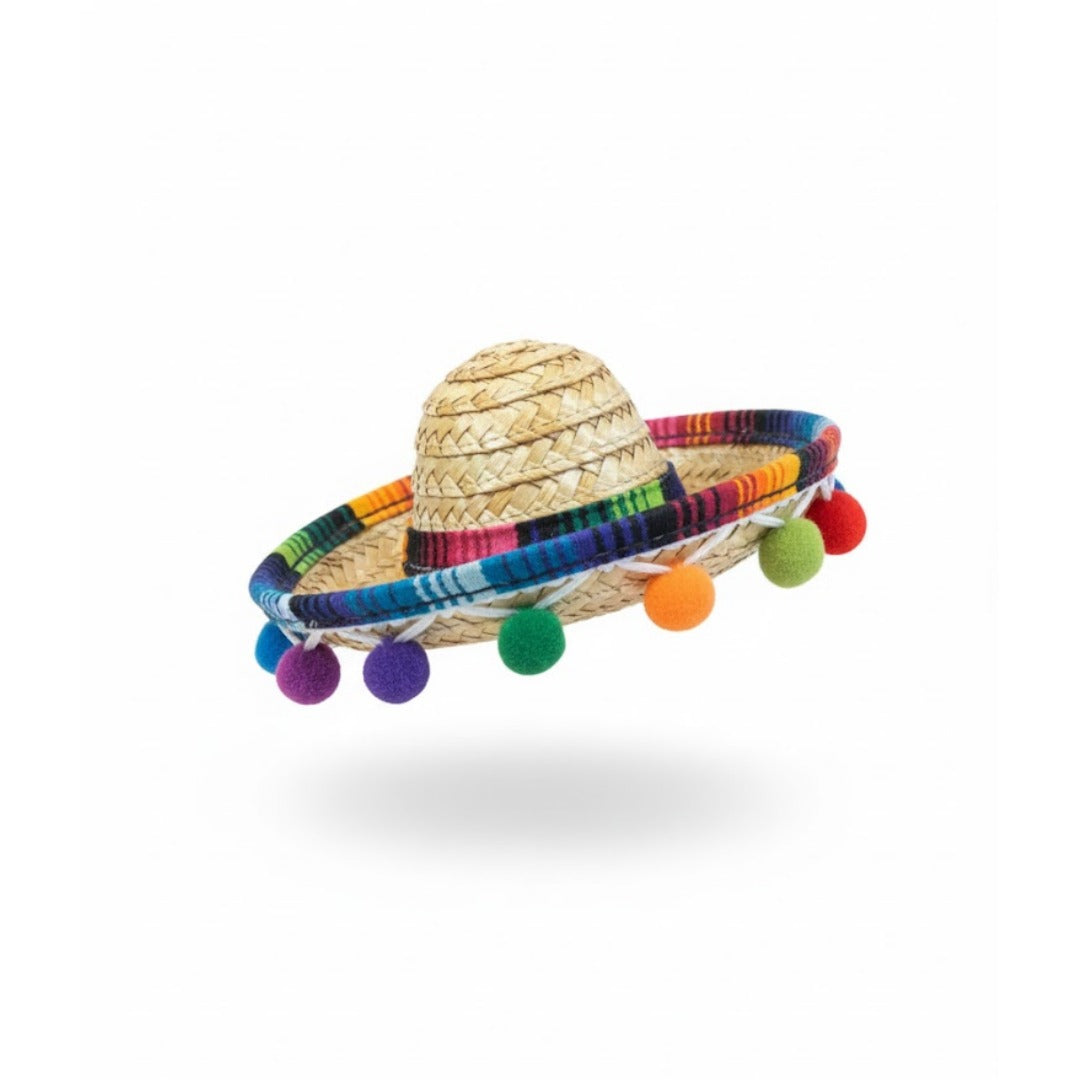 Mini Sombrero Hat