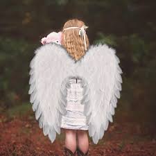 Angel Halo Wings - Adult